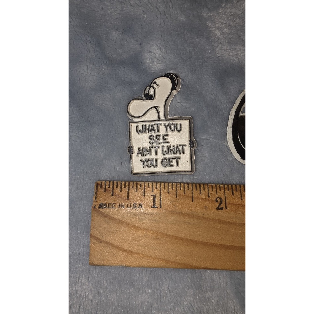 VTG Magnetic Novelties Magnets Lot What You See AIN'T what You Get - Picture 2 of 4